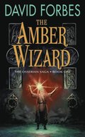 Amber Wizard