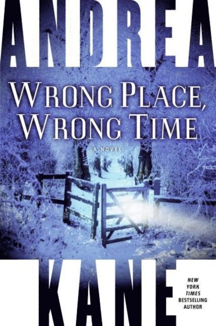 Andrea Kane - Wrong Place, Wrong Time, E-bok