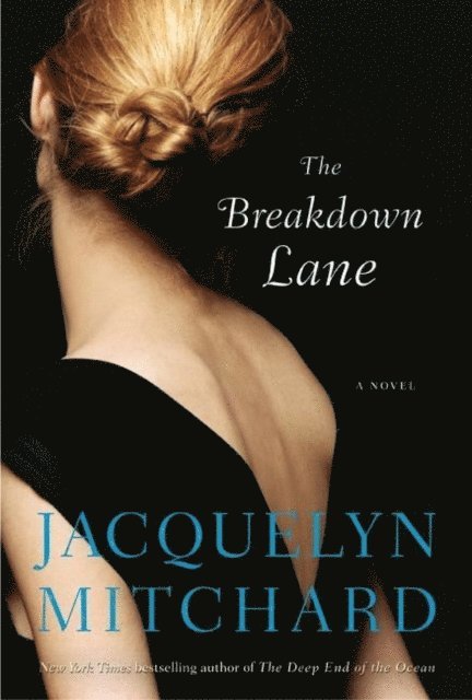 Jacquelyn Mitchard - Breakdown Lane, E-bok