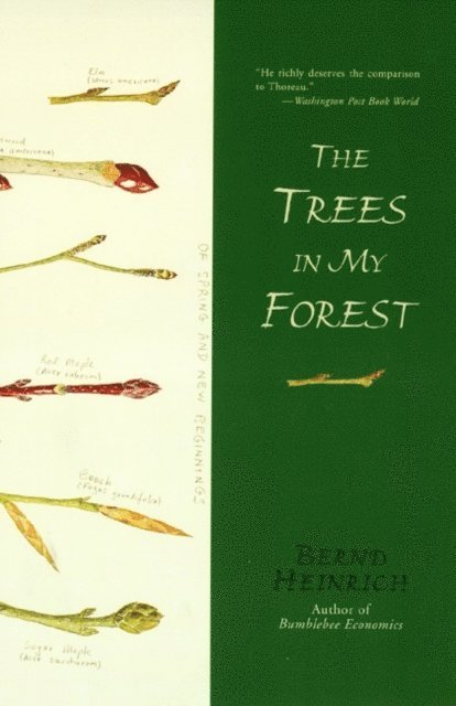 Bernd Heinrich - Trees in My Forest, E-bok