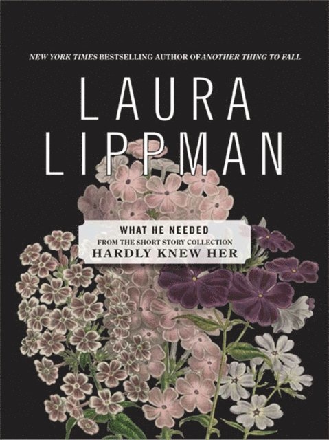 Laura Lippman - What He Needed, E-bok
