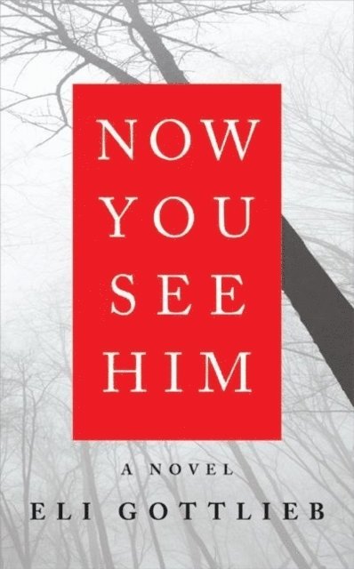 Eli Gottlieb - Now You See Him, E-bok
