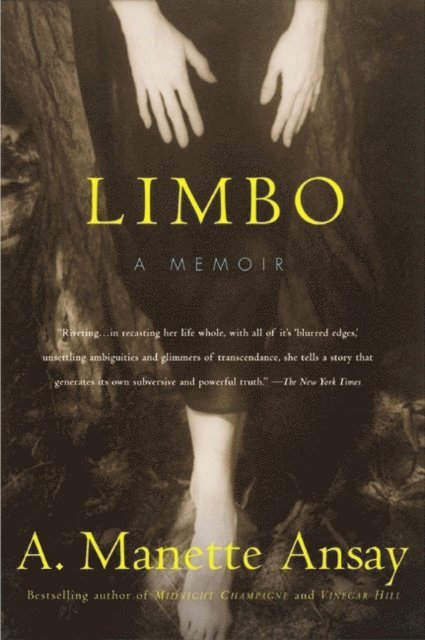 A. Manette Ansay - Limbo, E-bok