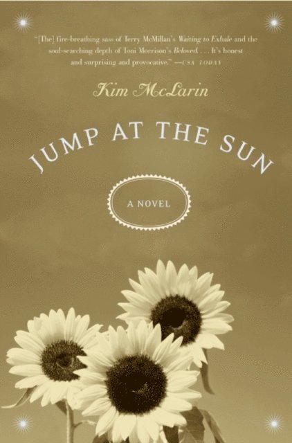 Kim McLarin - Jump at the Sun, E-bok