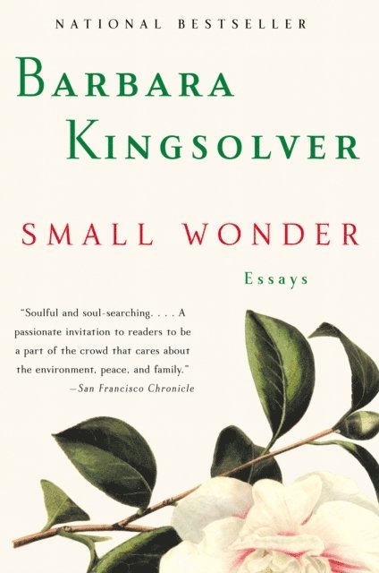 Barbara Kingsolver - Small Wonder, E-bok