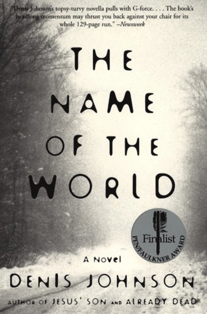 Denis Johnson - Name of the World, E-bok