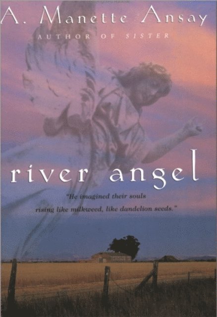 A. Manette Ansay - River Angel, E-bok