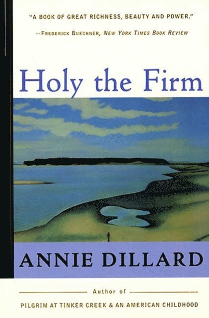 Annie Dillard - Holy the Firm, E-bok