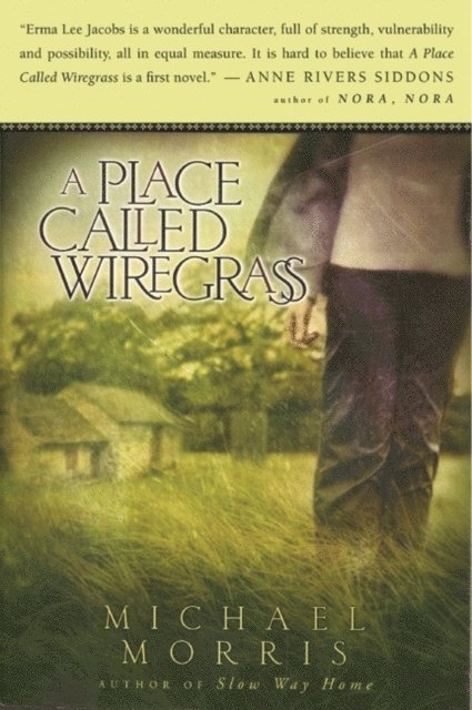 Michael Morris - Place Called Wiregrass, E-bok