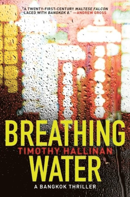 Timothy Hallinan - Breathing Water, E-bok