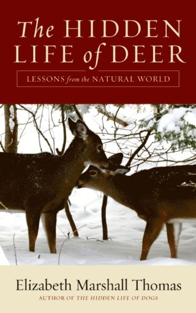 Elizabeth Marshall Thomas - Hidden Life of Deer, E-bok