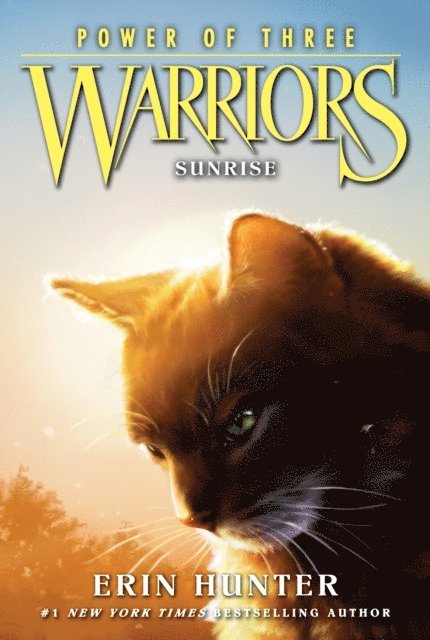Erin Hunter - Warriors: Power of Three #6: Sunrise, E-bok