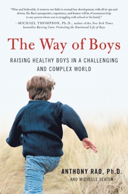 Michelle D. Seaton, PhD Anthony Rao - Way of Boys, E-bok