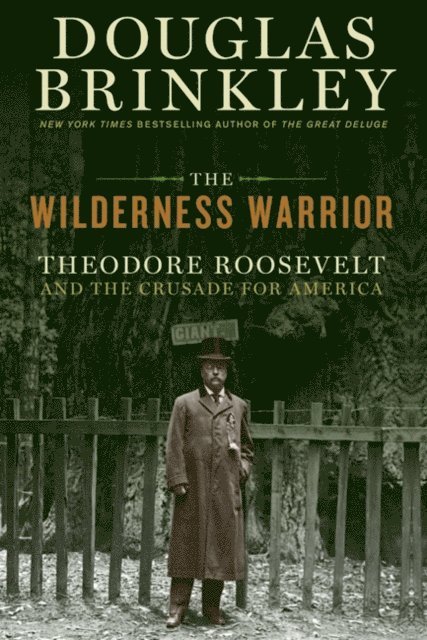 Douglas Brinkley - Wilderness Warrior, E-bok