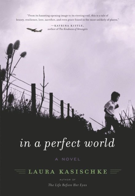 Laura Kasischke - In a Perfect World, E-bok