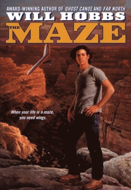 Will Hobbs - Maze, E-bok