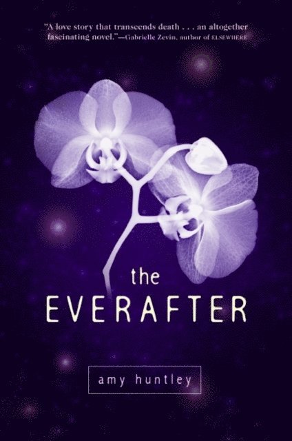 Amy Huntley - Everafter, E-bok
