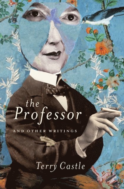 Terry Castle - Professor and Other Writings, E-bok
