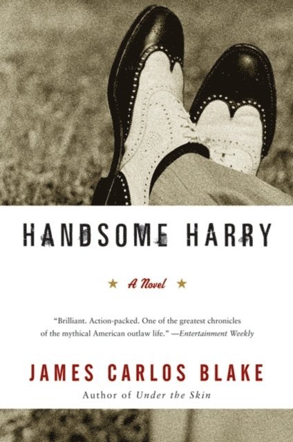 James Carlos Blake - Handsome Harry, E-bok