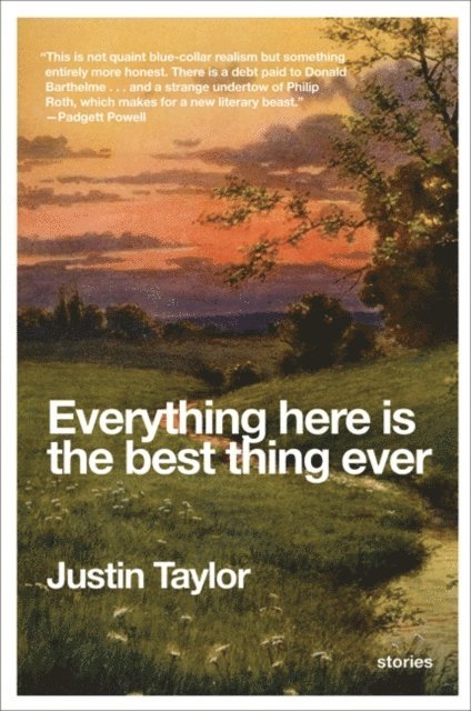 Justin Taylor - Everything Here Is the Best Thing Ever, E-bok