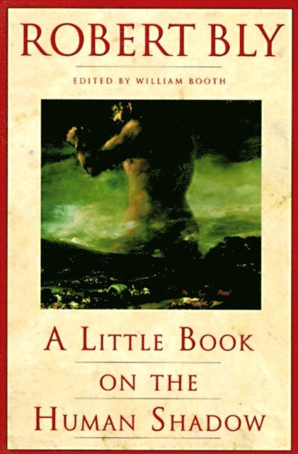 Robert Bly - Little Book on the Human Shadow, E-bok