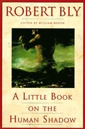 Little Book on the Human Shadow