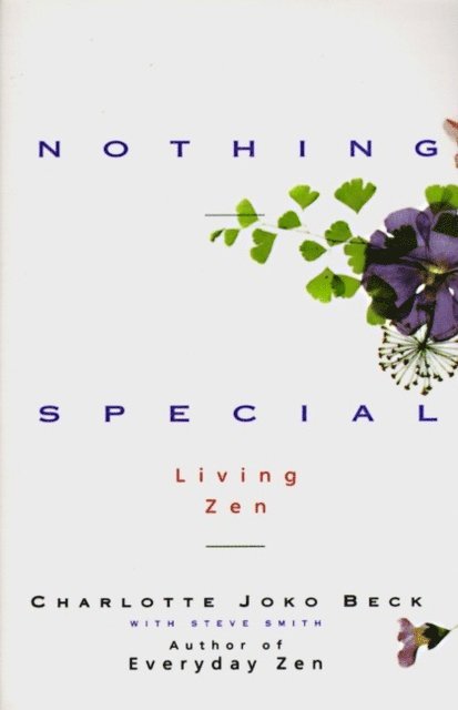 Steve Smith, Charlotte Joko Beck - Nothing Special, E-bok