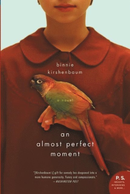 Binnie Kirshenbaum - Almost Perfect Moment, E-bok