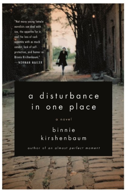 Binnie Kirshenbaum - Disturbance in One Place, E-bok