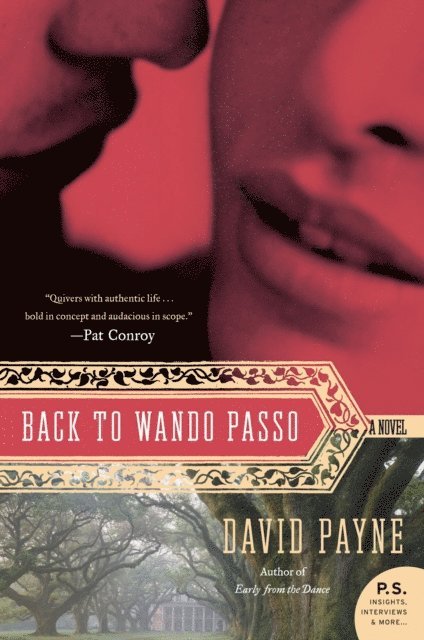 David Payne - Back to Wando Passo, E-bok