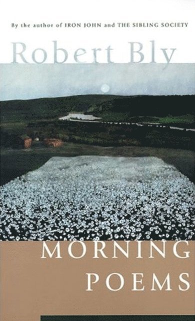Robert Bly - Morning Poems, E-bok