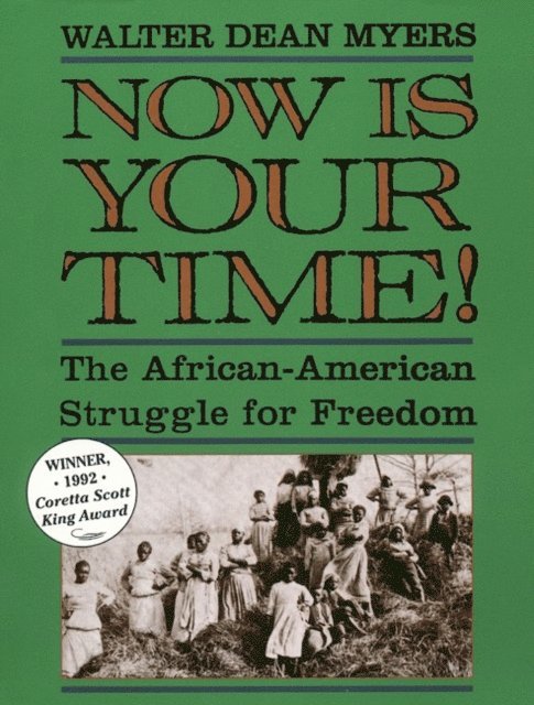 Walter Dean Myers - Now Is Your Time!, E-bok