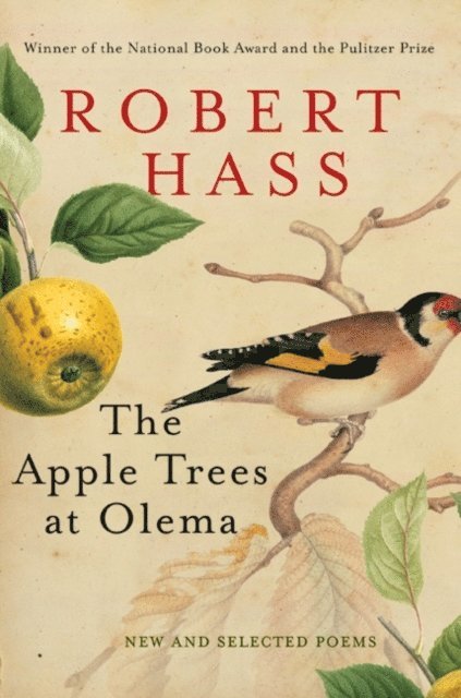 Robert Hass - Apple Trees at Olema, E-bok