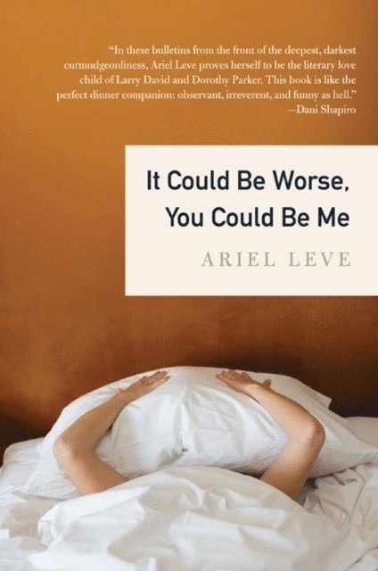 Ariel Leve - It Could Be Worse, You Could Be Me, E-bok