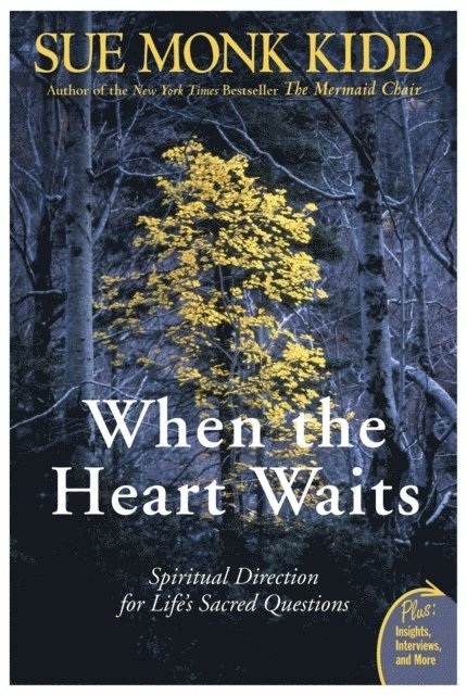 Sue Monk Kidd - When the Heart Waits, E-bok