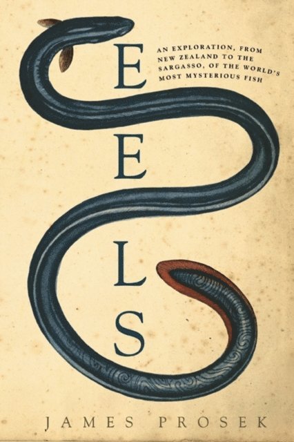 James Prosek - Eels, E-bok