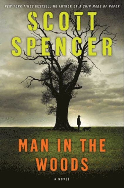 Scott Spencer - Man in the Woods, E-bok
