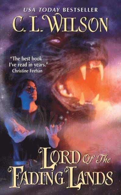 C. L. Wilson - Lord of the Fading Lands, E-bok