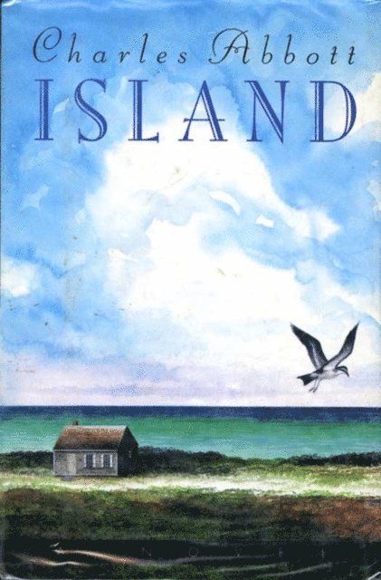 Charles Abbott - Island, E-bok