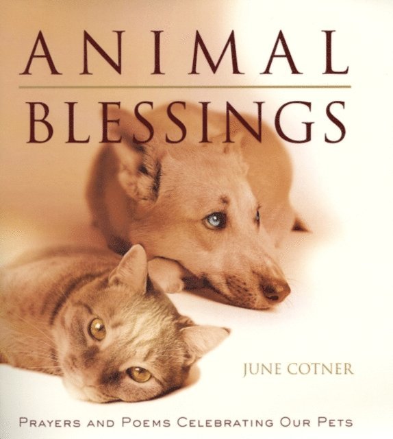 June Cotner - Animal Blessings, E-bok