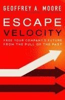 Escape Velocity av Geoffrey A Moore, Geoffrey A Moore