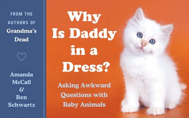 Ben Schwartz, Amanda McCall - Why Is Daddy in a Dress?, E-bok