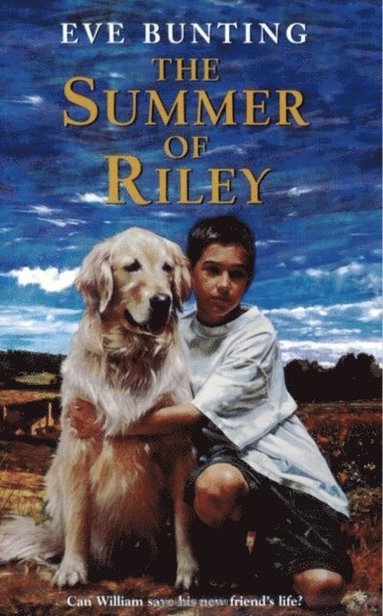 Eve Bunting - Summer of Riley, E-bok