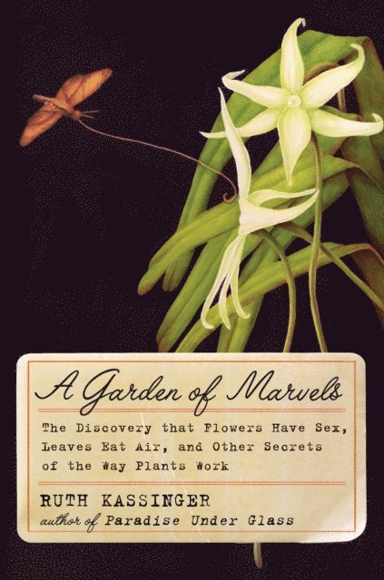 Ruth Kassinger - Garden of Marvels, E-bok. Tillgänglighet: Lägg i varukorg