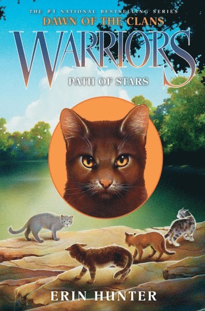 Erin Hunter - Warriors: Dawn of the Clans #6: Path of Stars, E-bok