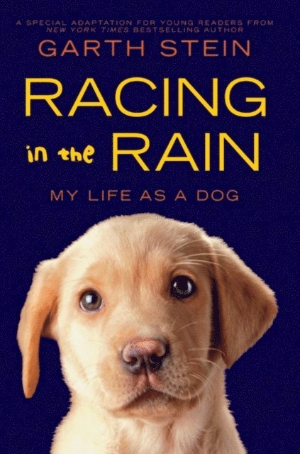 Garth Stein - Racing in the Rain, E-bok