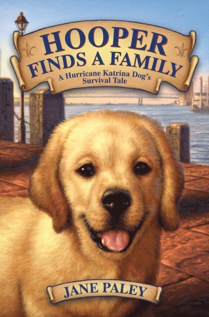 Jane Paley - Hooper Finds a Family, E-bok