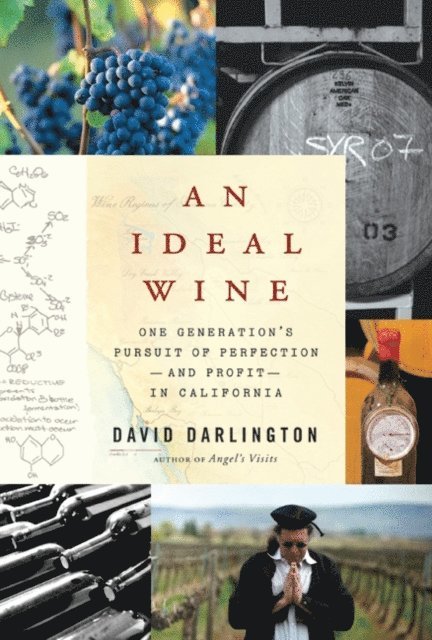 Ideal Wine