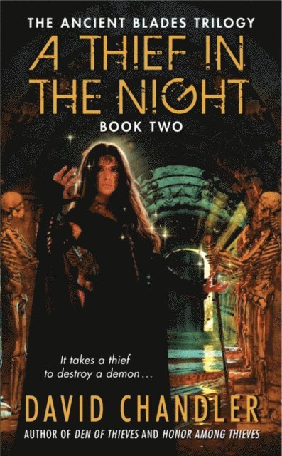 David Chandler - Thief in the Night, E-bok
