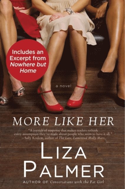 Liza Palmer - More Like Her, E-bok